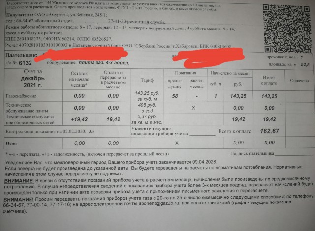 Почему в Благовещенске наш газ втрое дороже, чем в китайском Хэйхэ