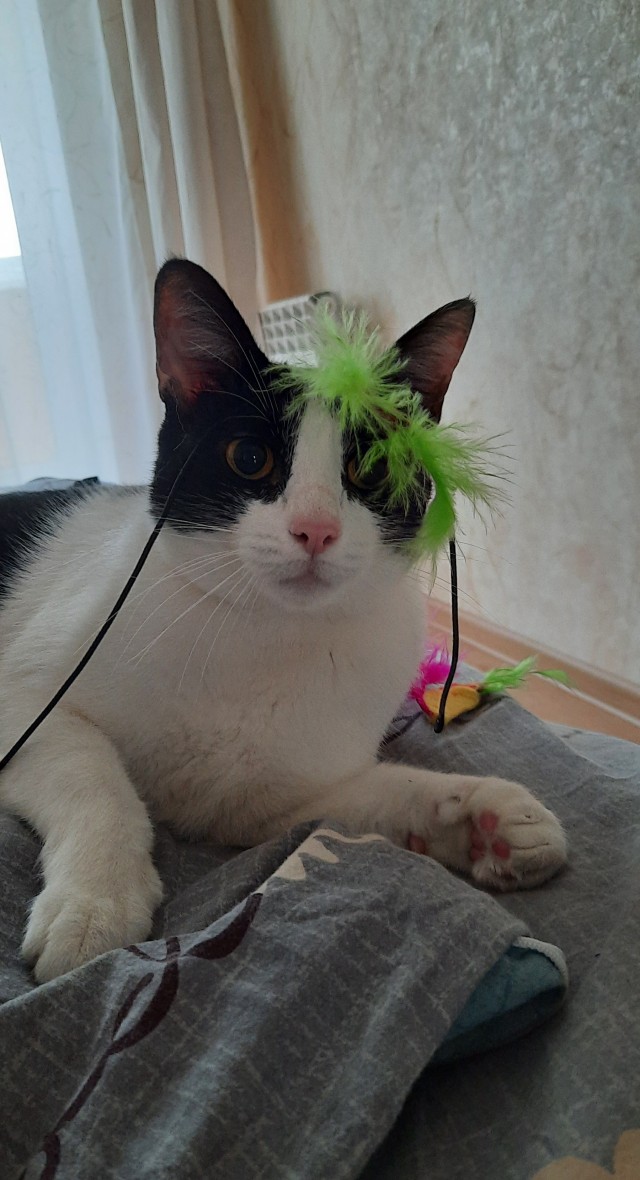 Котовторниковское