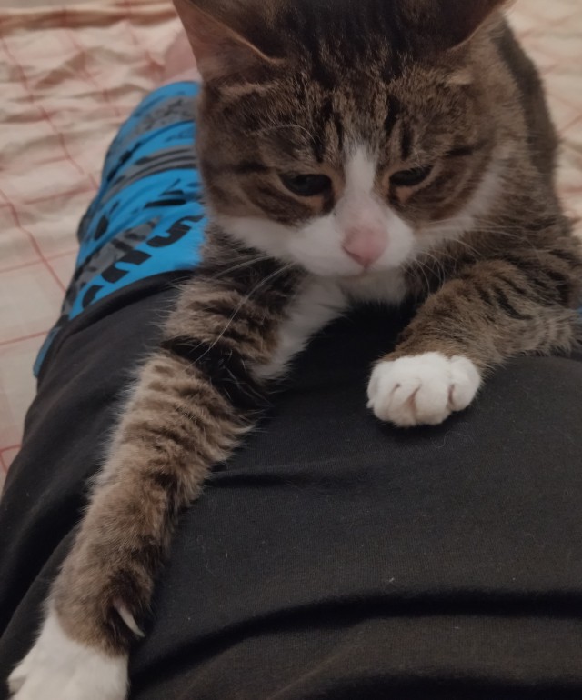 Рыба по-гречески