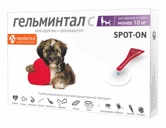 Подобрал на улице щенка