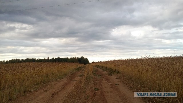 Просто любительские фото