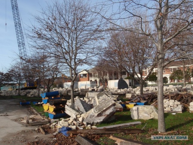 На машине по Новой Зеландии