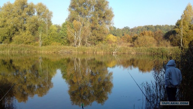 Учитесь ловить рыбу