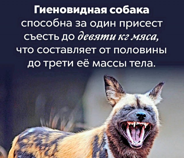 Факты. Просто факты.
