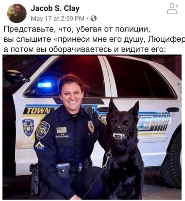 На станции метро «Курская» у служебных собачек Новый год