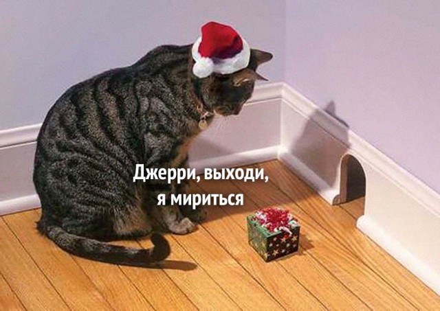 Картинки и мемы, выходные продолжаются
