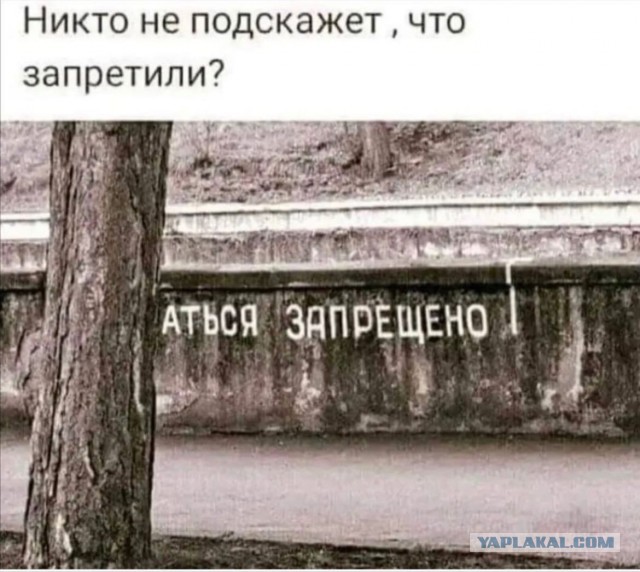 Думаю, что её дочь просто завидует!