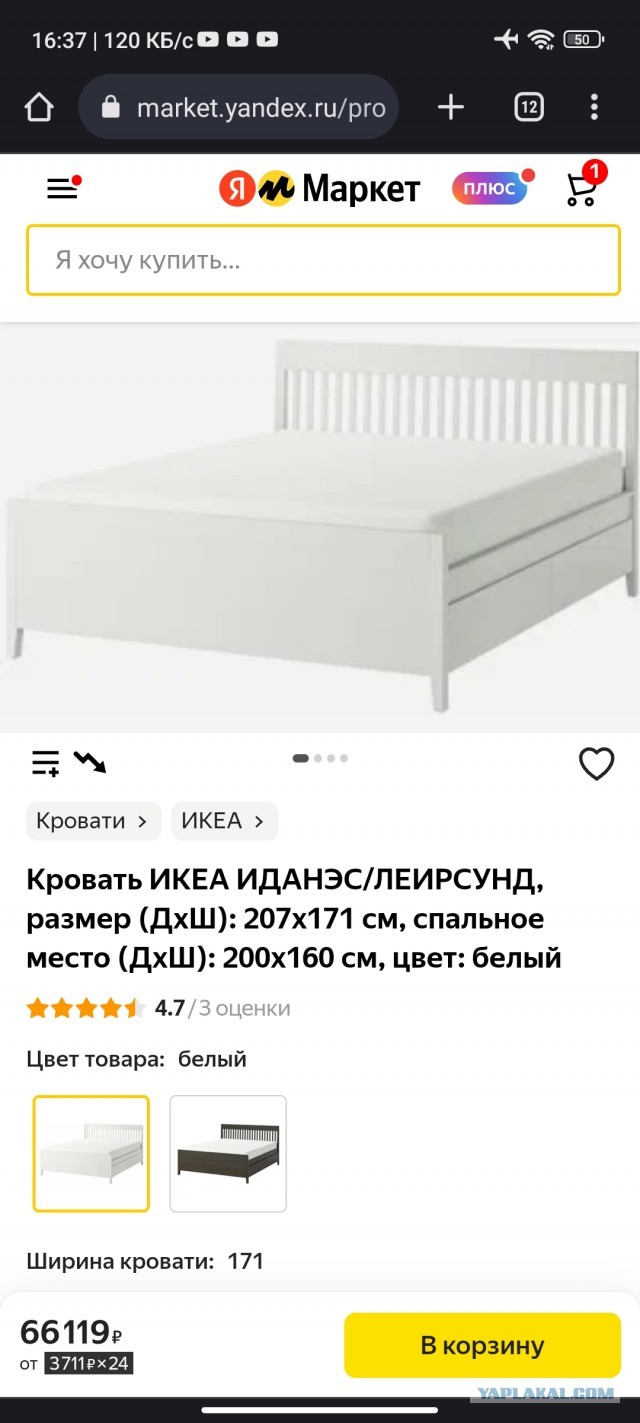 Магазины Decathlon планируют вернуться в Россию в октябре этого года