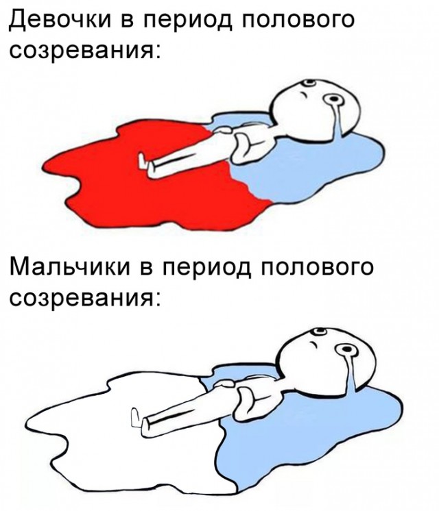 Весёлый полтишок 21.08.23