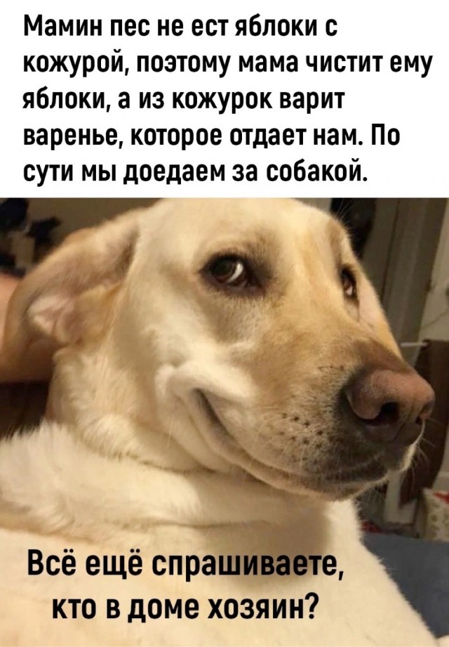 Так себе картинки 28.10.23
