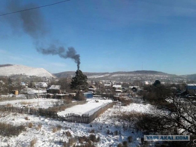 Красивые фото ЯПа