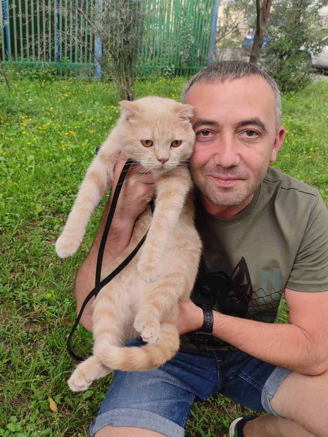 Котенок с приюта