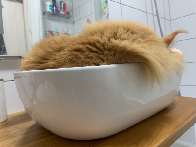 Вот, пришёл