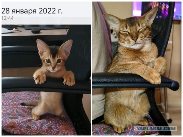 Сквозь время