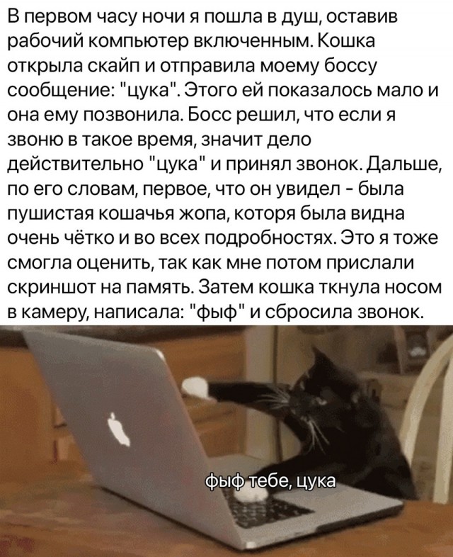 Так себе картинки 17.04.24