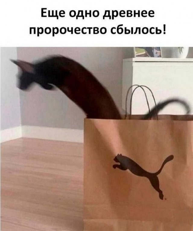 Отряд быстрого деградирования