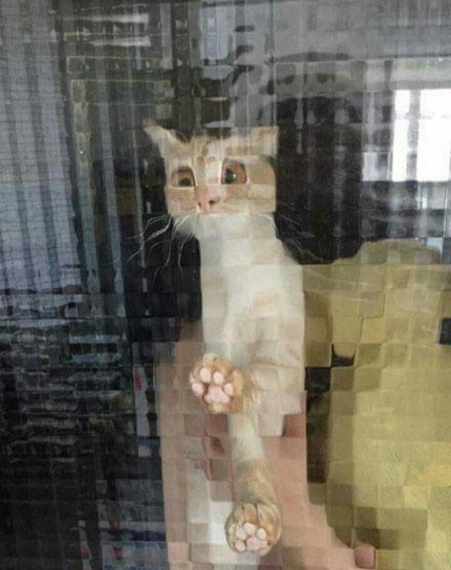 Картина. Кот за дверью