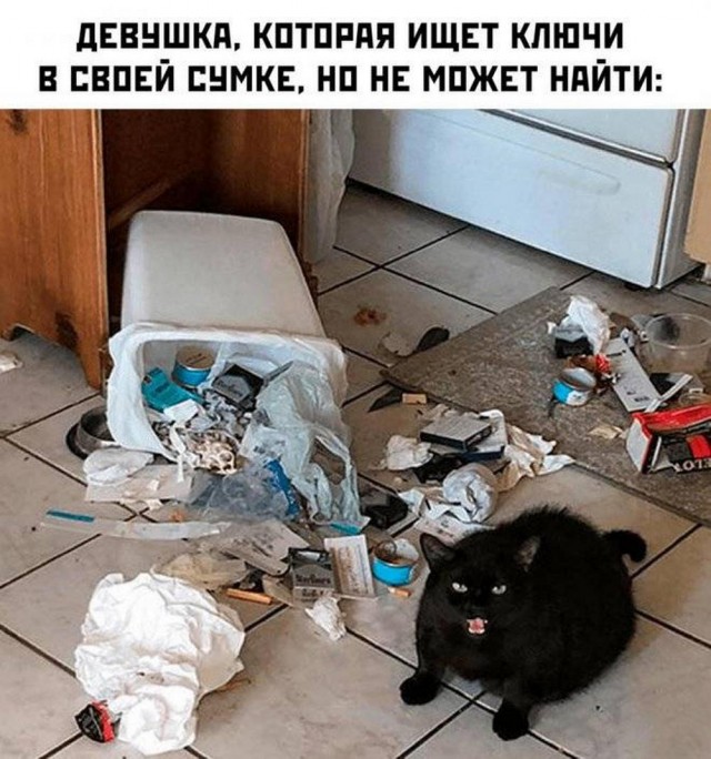 Нуштош 16.08.2024