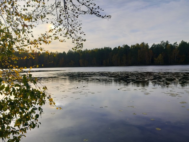 Осень на озёрах