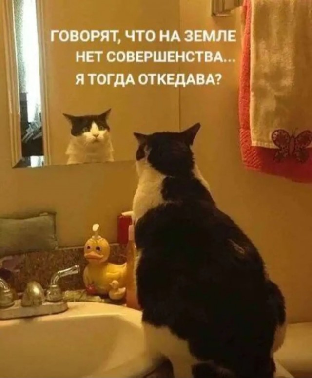 Быстрая деградация