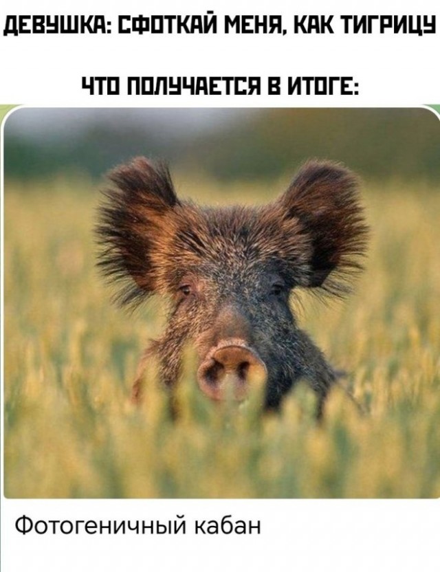 Завалялось тут случайно немного забавных картинок
