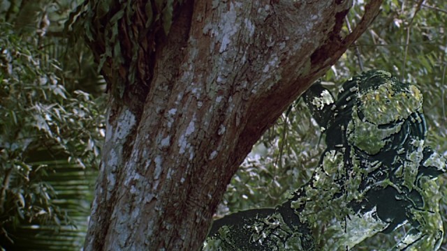 Вот это хищник! 13 гениев маскировки и обмана из мира дикой природы