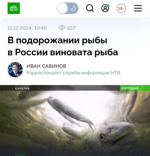 Нуштош 13.12.2024