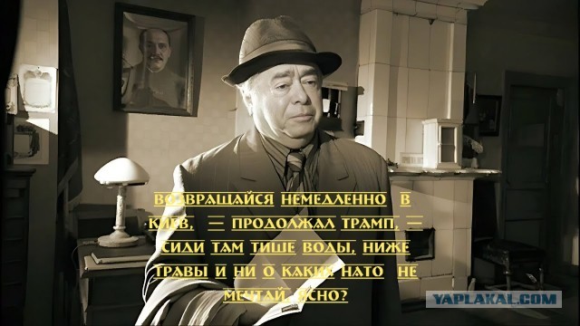 Трамп посоветовал Украине забыть о НАТО