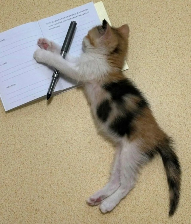 Вторник.Уроки китайского