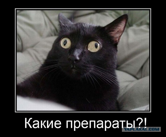 КотЭ и препараты