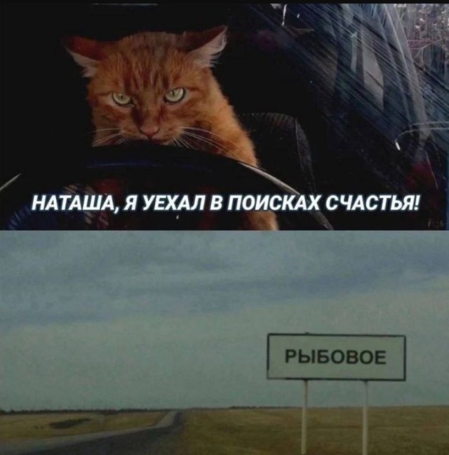 Так себе картинки 04.06.25