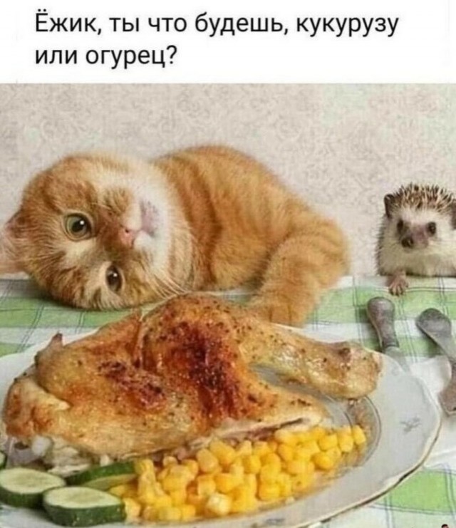 Завалялось тут случайно немного забавных картинок
