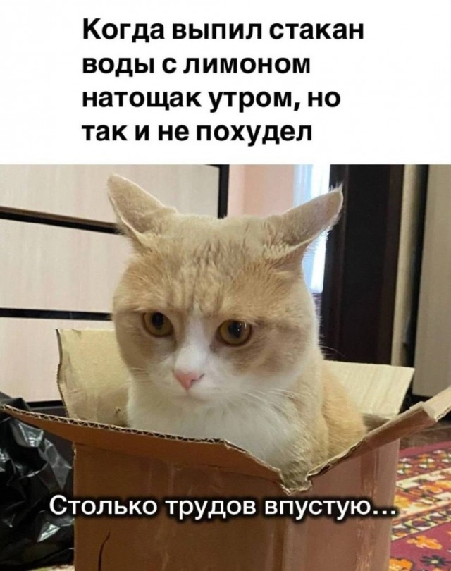 Ну что, господа. Послепраздничная дичь