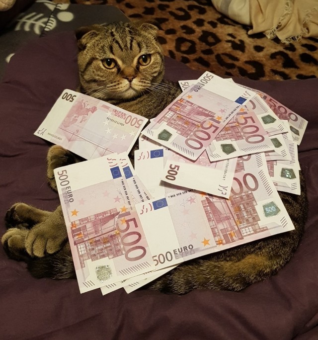 Про любовь к подсчёту чужих денег⁠⁠