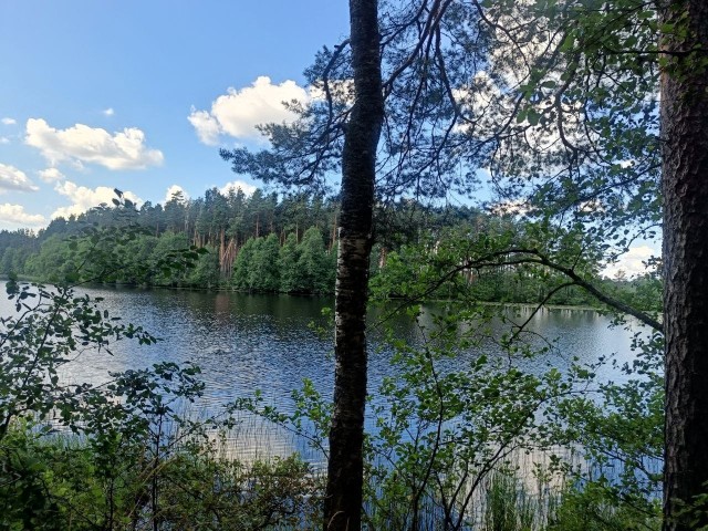 Карельский перешеек, Ленинградская область