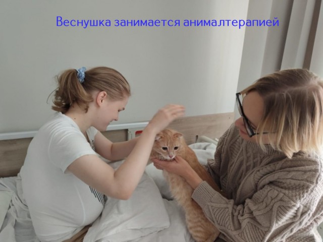 Жизнь домашнего приюта "Котоленд" 515