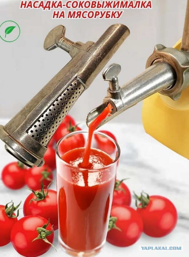 когда тиктокеры решили стать бизнесменами