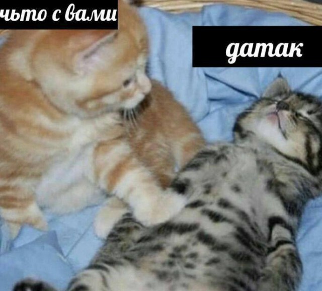 Небаянистая деградация 3
