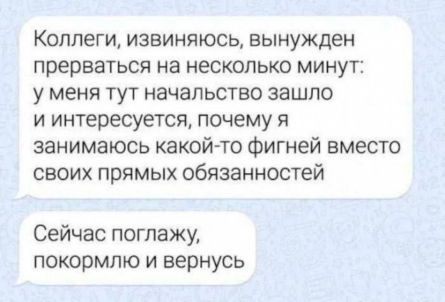 Смешные переписки из Сети