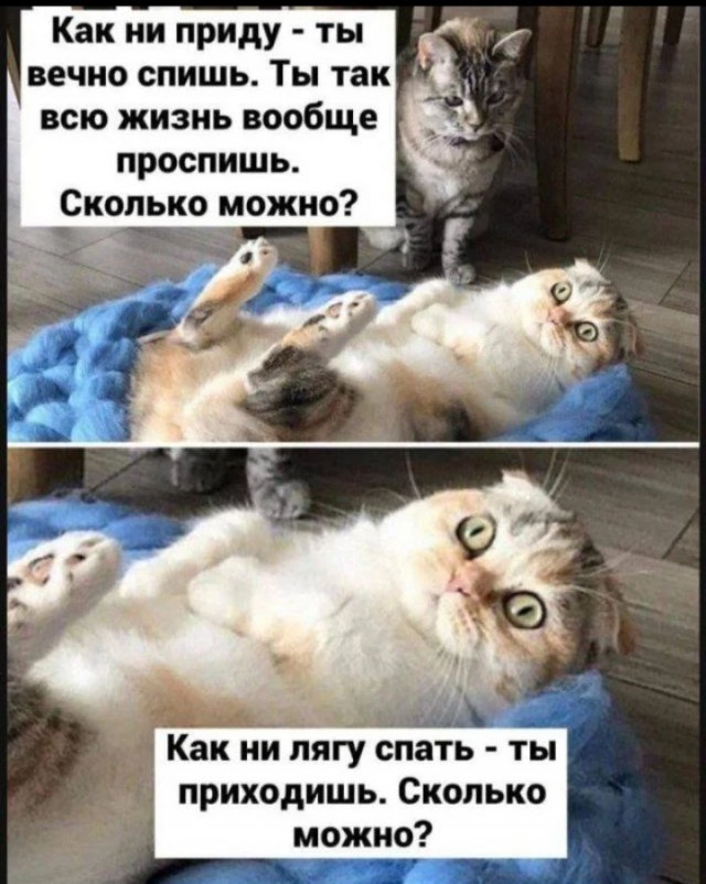 *зачёркнуто*