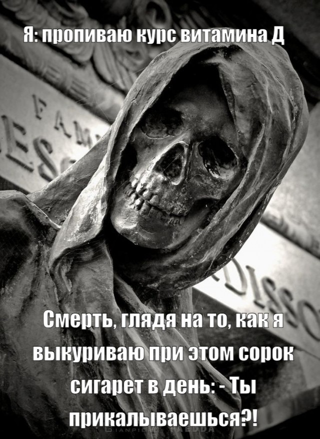 Картинки, веселые и глупые