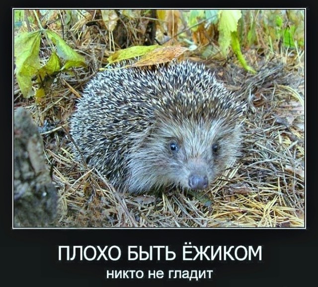 Вторника картинки