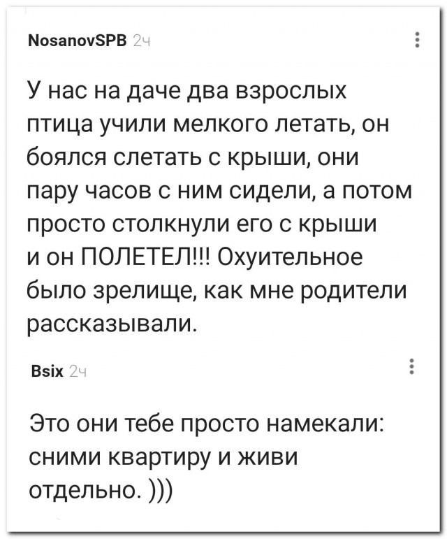 Когда не понимаешь намеки⁠