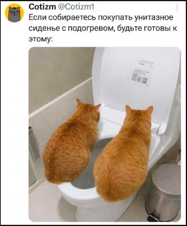 Так себе картинки 18.02.26