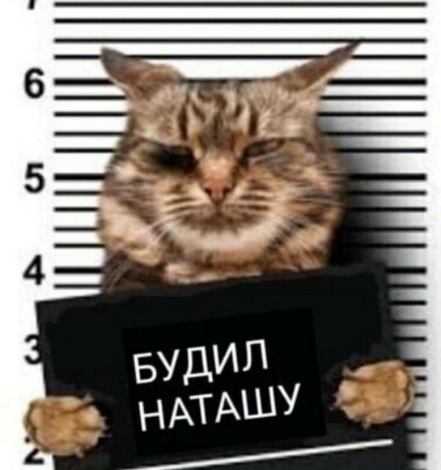 Найди себе уже мужика, Наташа!