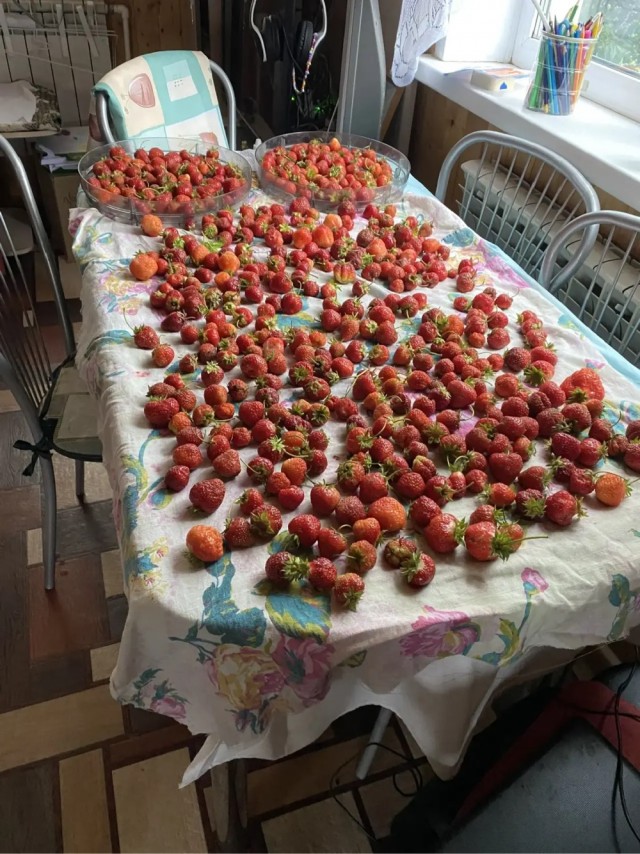 Немного клубнички вам в ленту