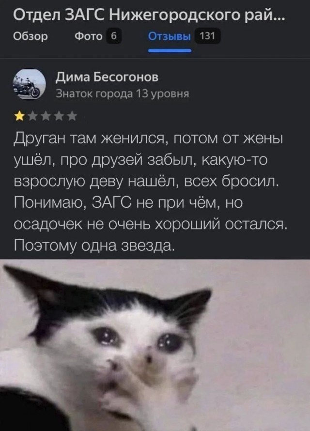 Картинки для деградации 251 (разной степени свежести)