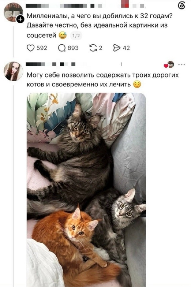 Так себе картинки 25.08.26