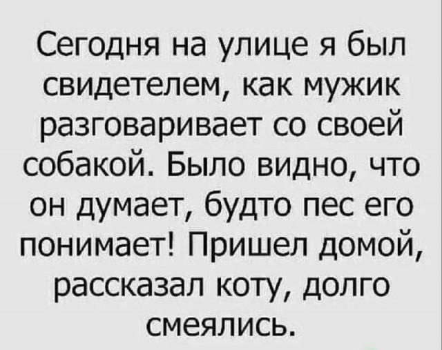 Контент для невзыскательной аудитории