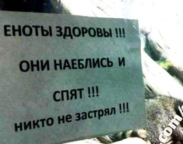 Прикольные и просто красивые картинки 04.09.2026